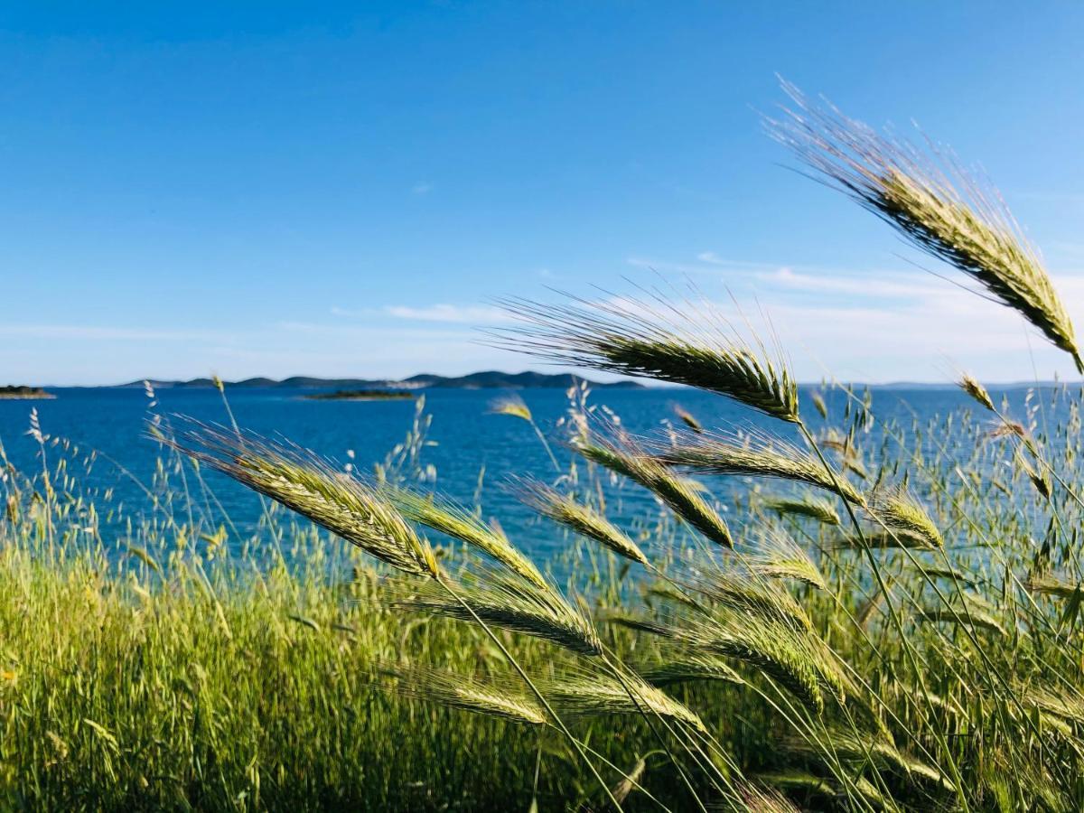 Ecobeachvilla Buqez 9 Pakoštane Exterior foto